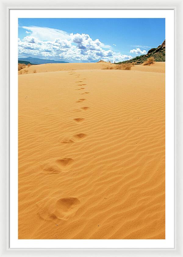 Dune Trail - Framed Print