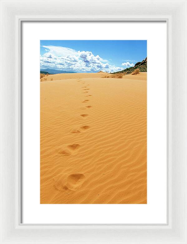 Dune Trail - Framed Print