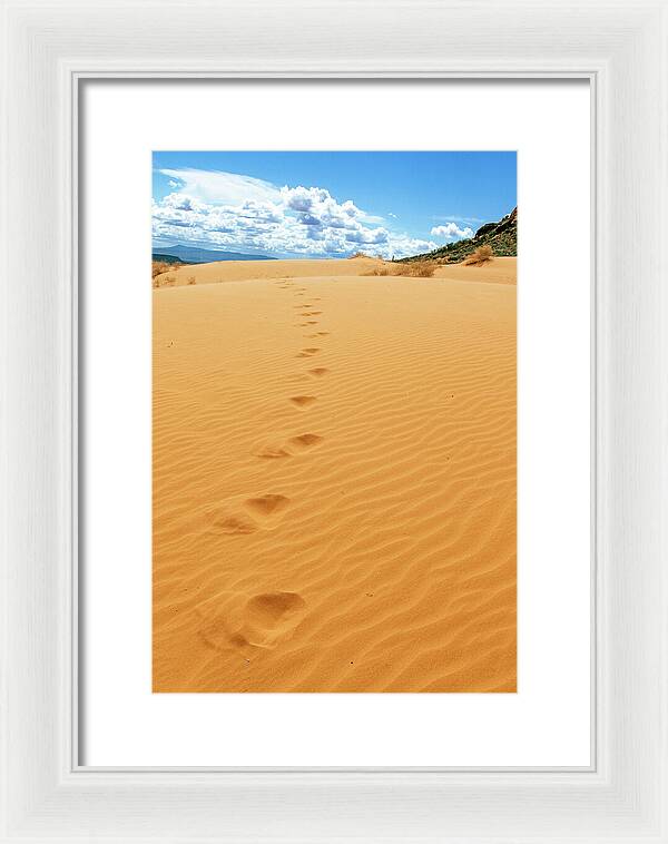 Dune Trail - Framed Print