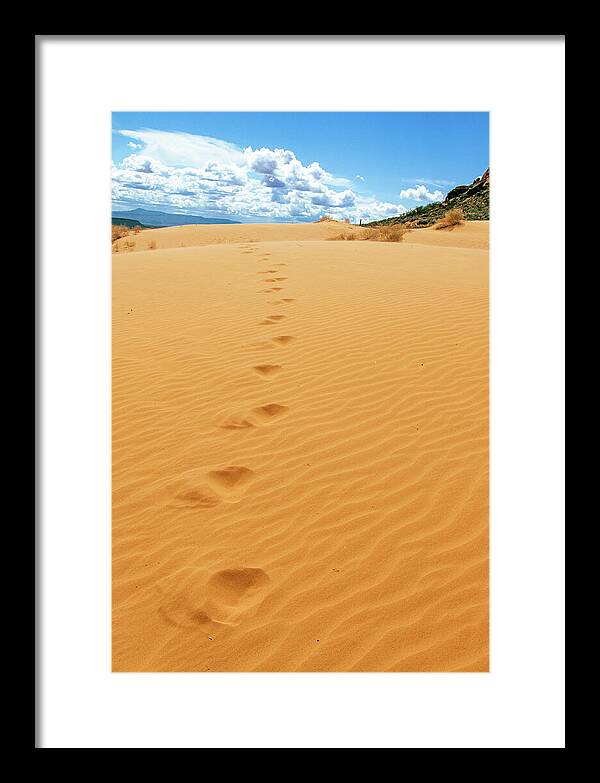 Dune Trail - Framed Print