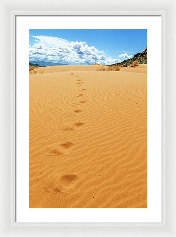 Dune Trail - Framed Print