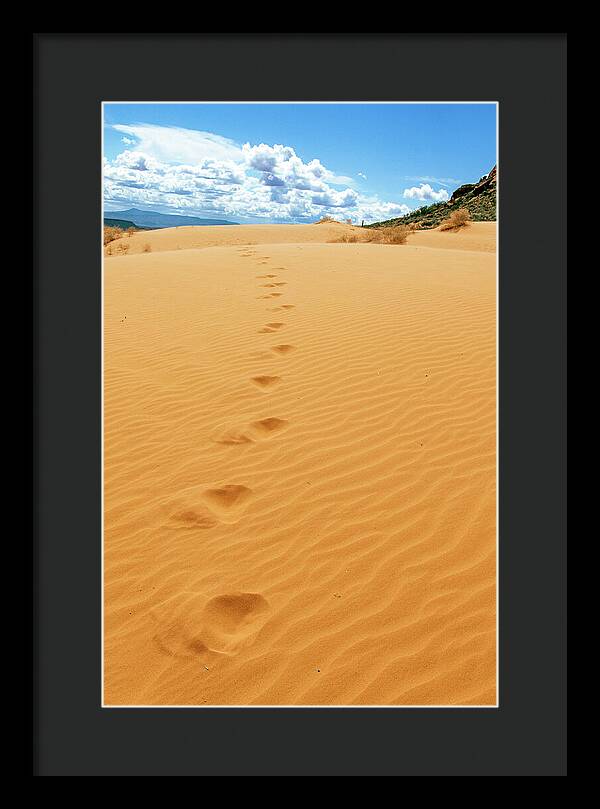 Dune Trail - Framed Print