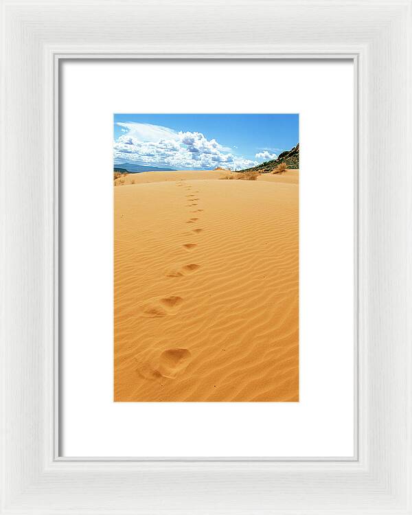 Dune Trail - Framed Print