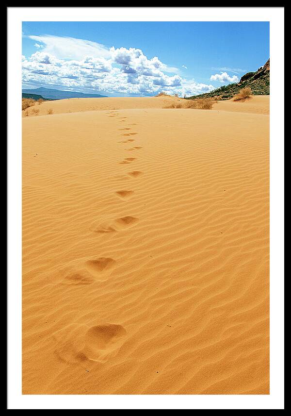 Dune Trail - Framed Print