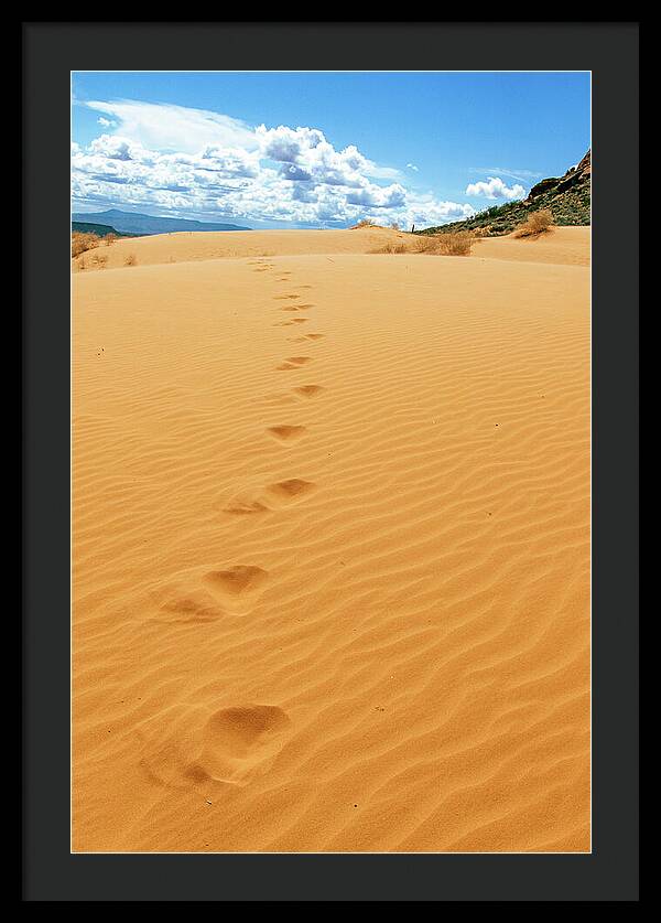 Dune Trail - Framed Print