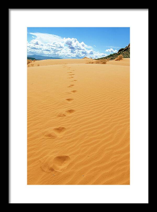 Dune Trail - Framed Print