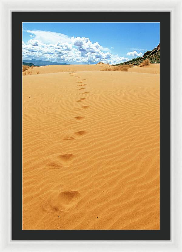 Dune Trail - Framed Print