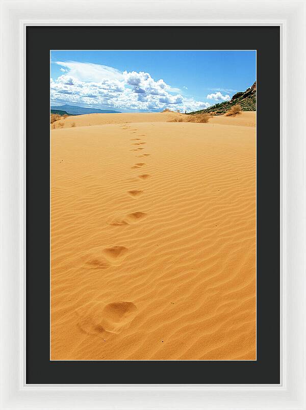 Dune Trail - Framed Print