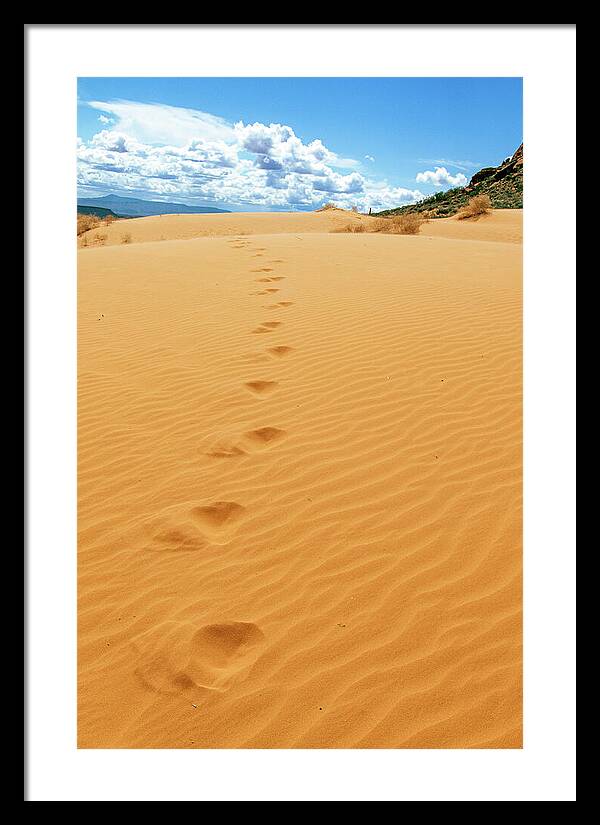 Dune Trail - Framed Print