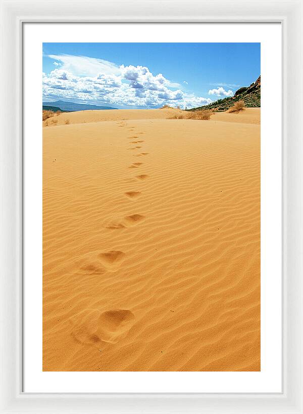 Dune Trail - Framed Print