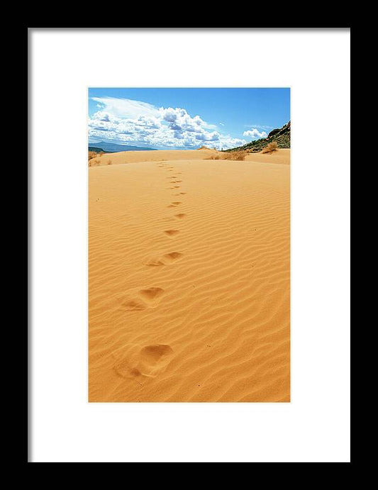 Dune Trail - Framed Print