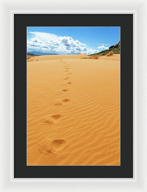 Dune Trail - Framed Print