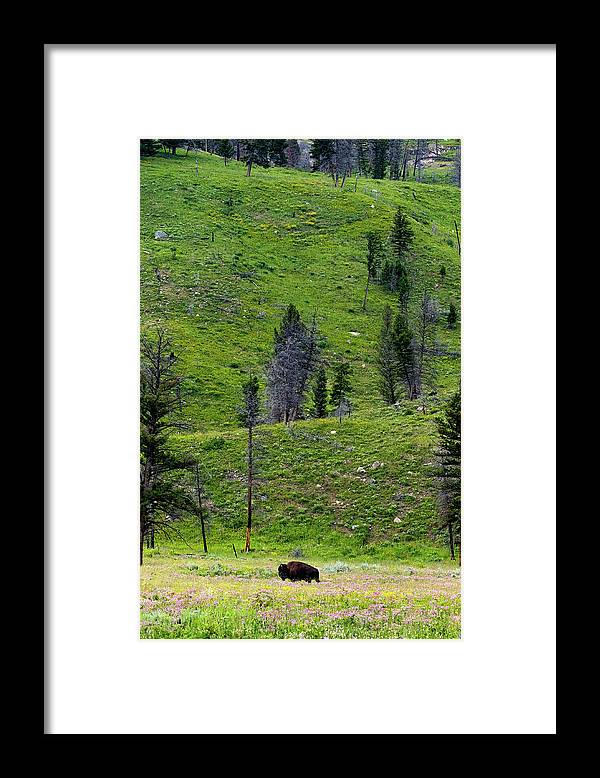 Alone - Framed Print