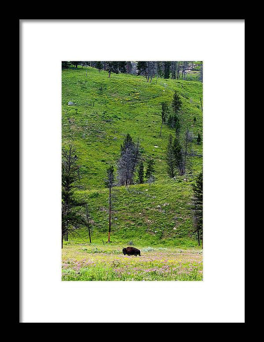 Alone - Framed Print