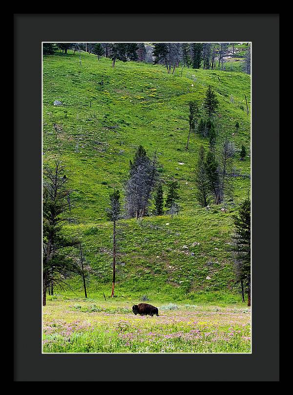 Alone - Framed Print