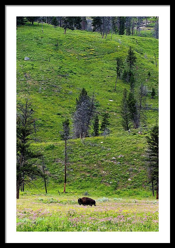 Alone - Framed Print