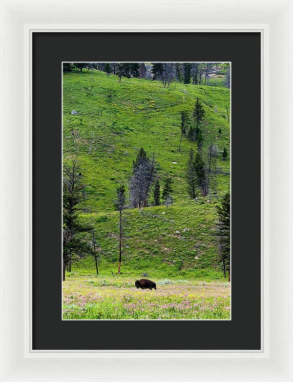 Alone - Framed Print