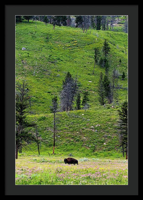 Alone - Framed Print