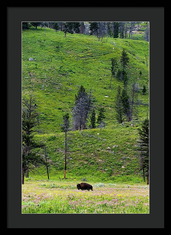 Alone - Framed Print