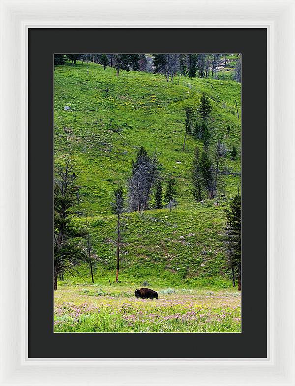 Alone - Framed Print