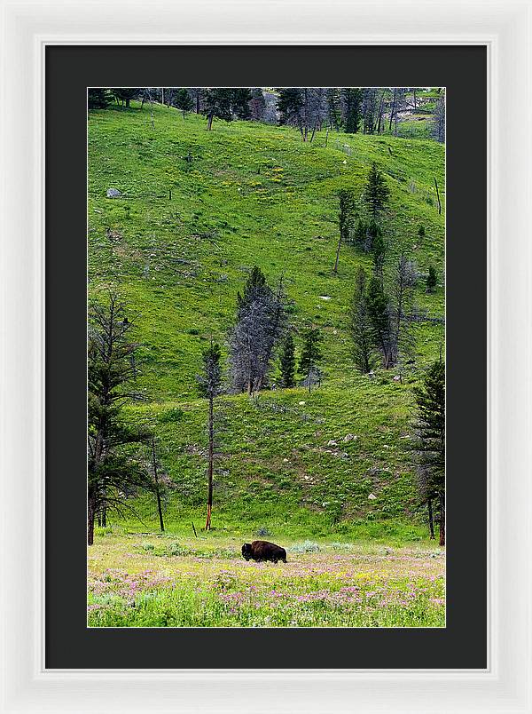 Alone - Framed Print