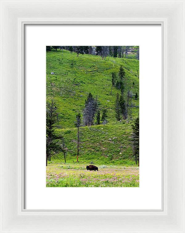 Alone - Framed Print