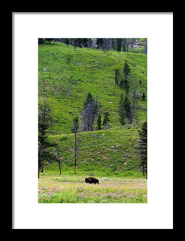 Alone - Framed Print