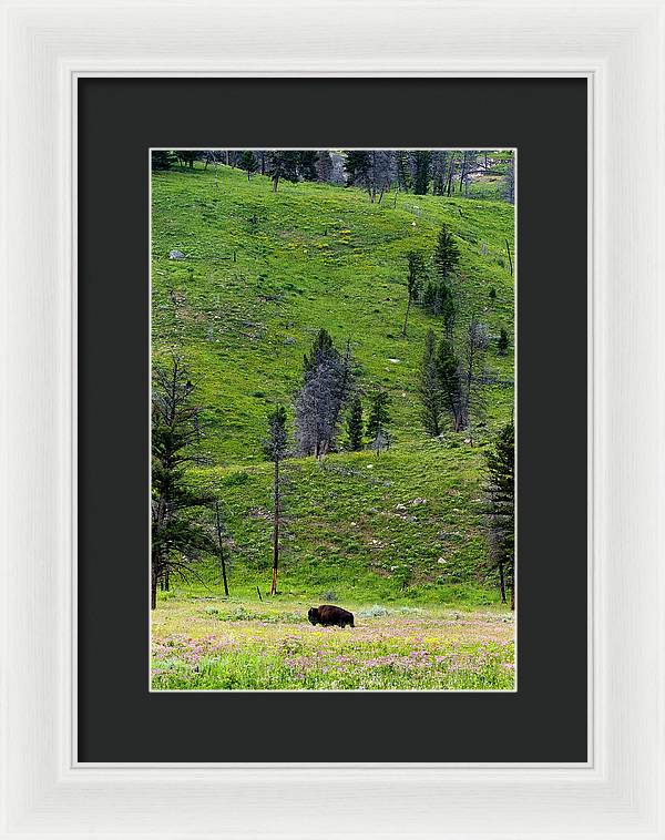 Alone - Framed Print