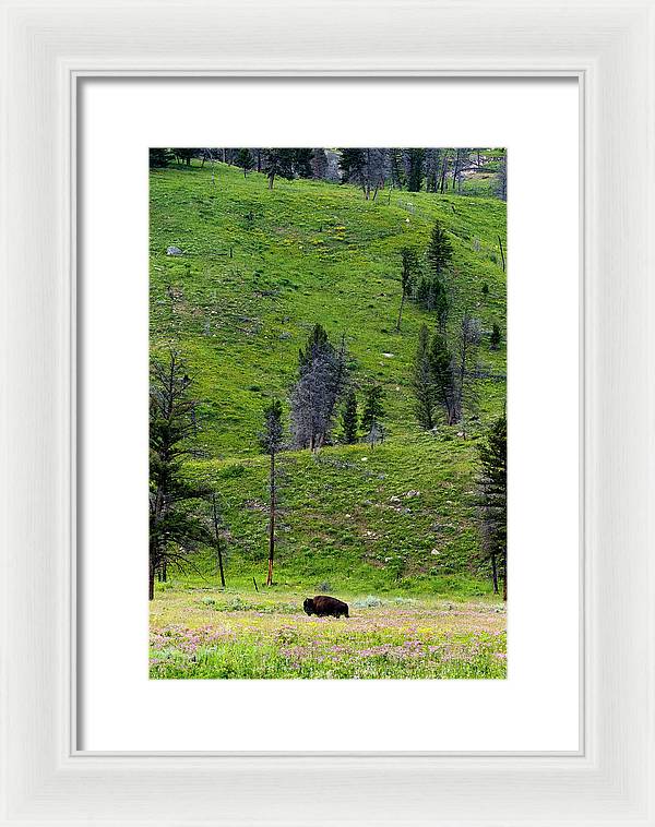 Alone - Framed Print