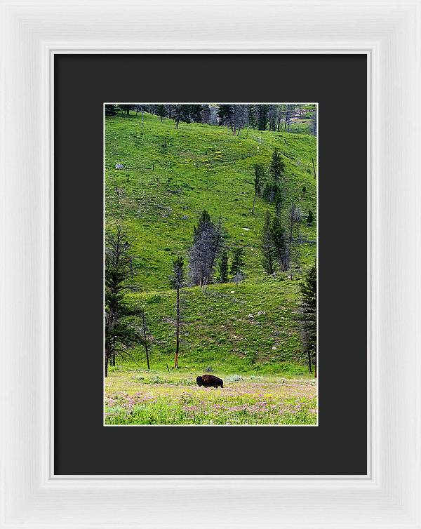 Alone - Framed Print