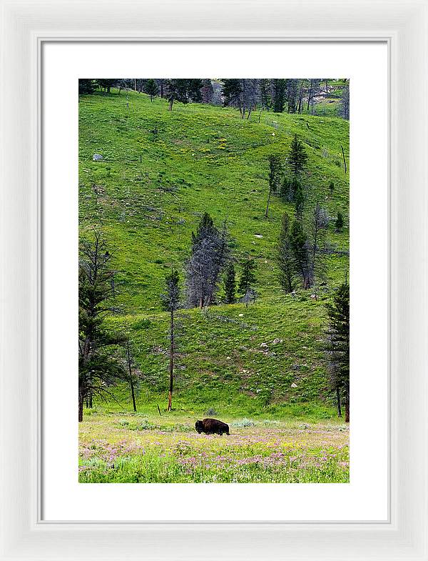 Alone - Framed Print