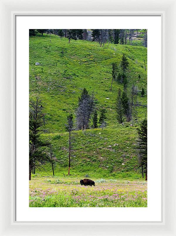 Alone - Framed Print