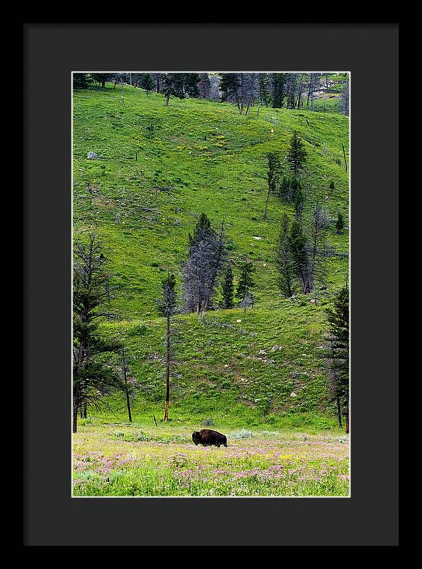 Alone - Framed Print