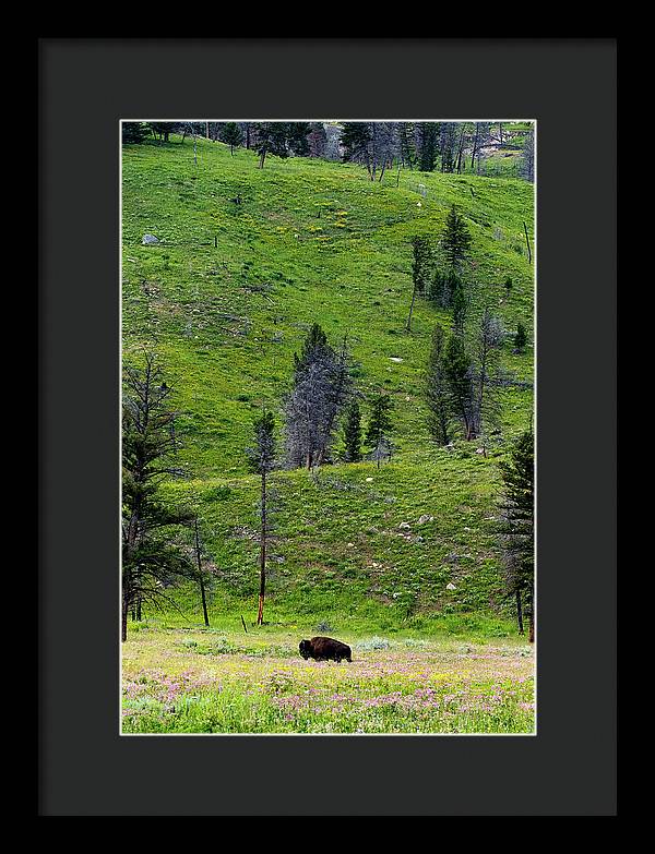 Alone - Framed Print