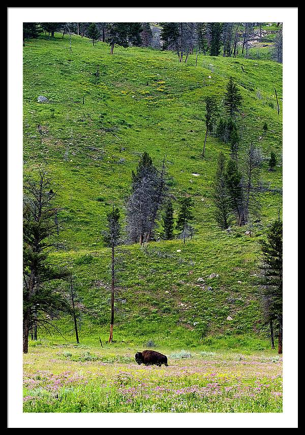 Alone - Framed Print