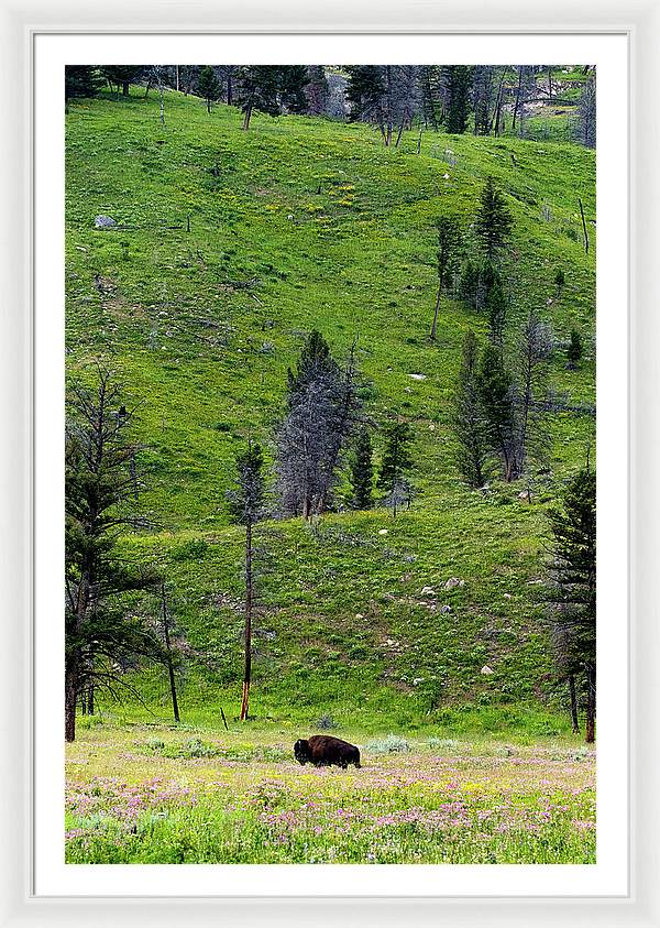 Alone - Framed Print