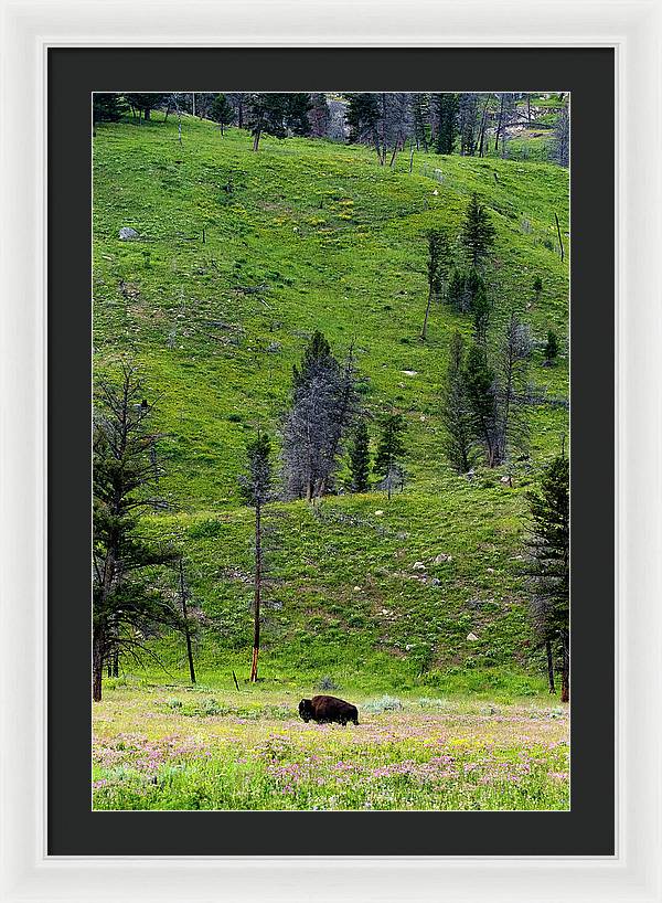 Alone - Framed Print