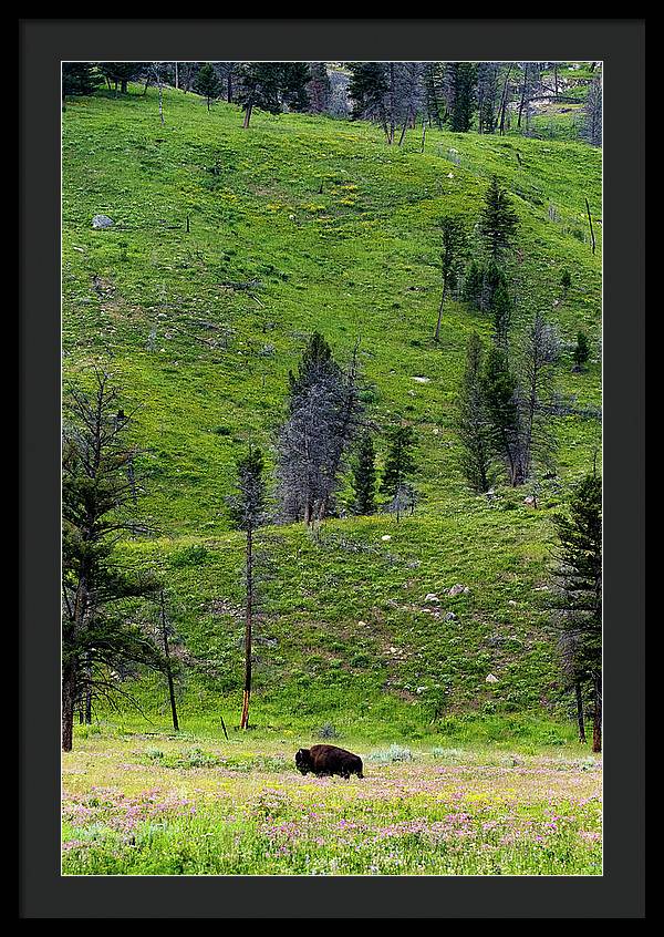 Alone - Framed Print