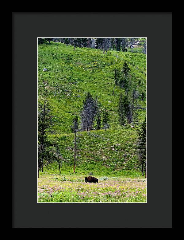 Alone - Framed Print