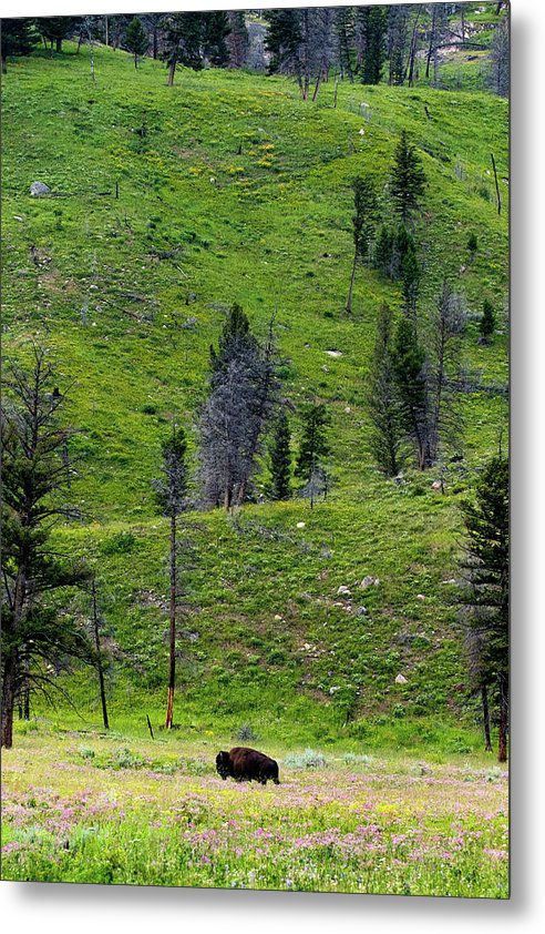 Alone - Metal Print