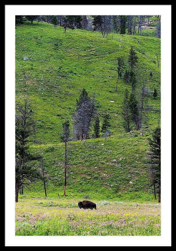 Alone - Framed Print