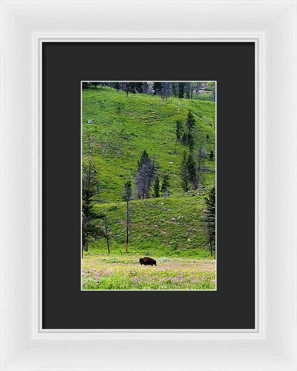 Alone - Framed Print