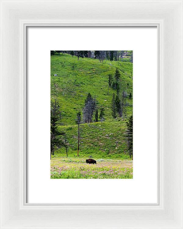 Alone - Framed Print