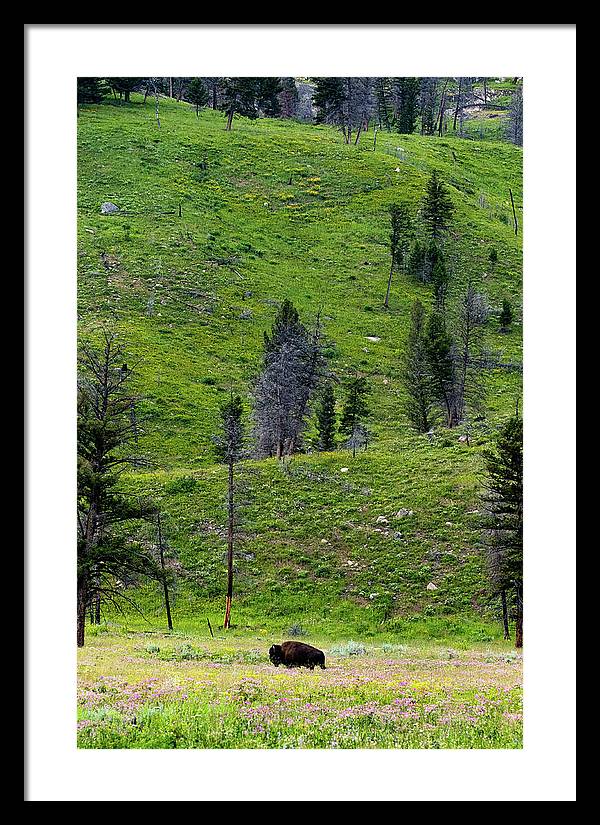 Alone - Framed Print