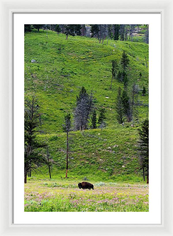 Alone - Framed Print