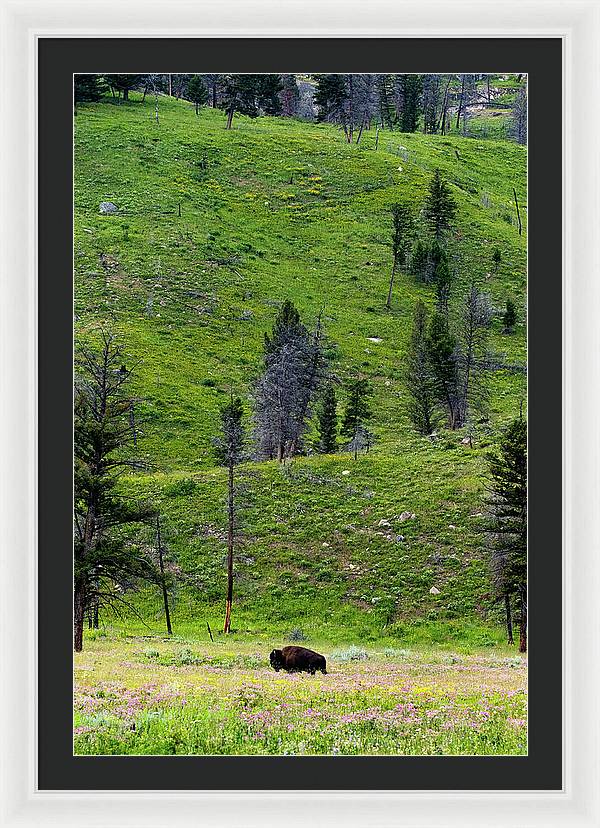 Alone - Framed Print