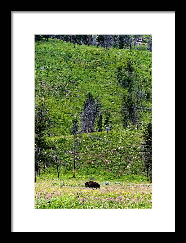 Alone - Framed Print