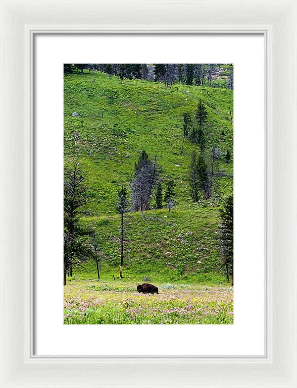 Alone - Framed Print