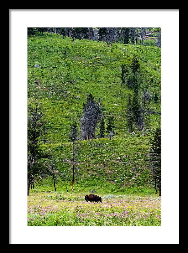 Alone - Framed Print