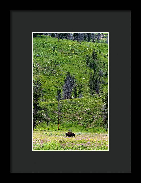 Alone - Framed Print